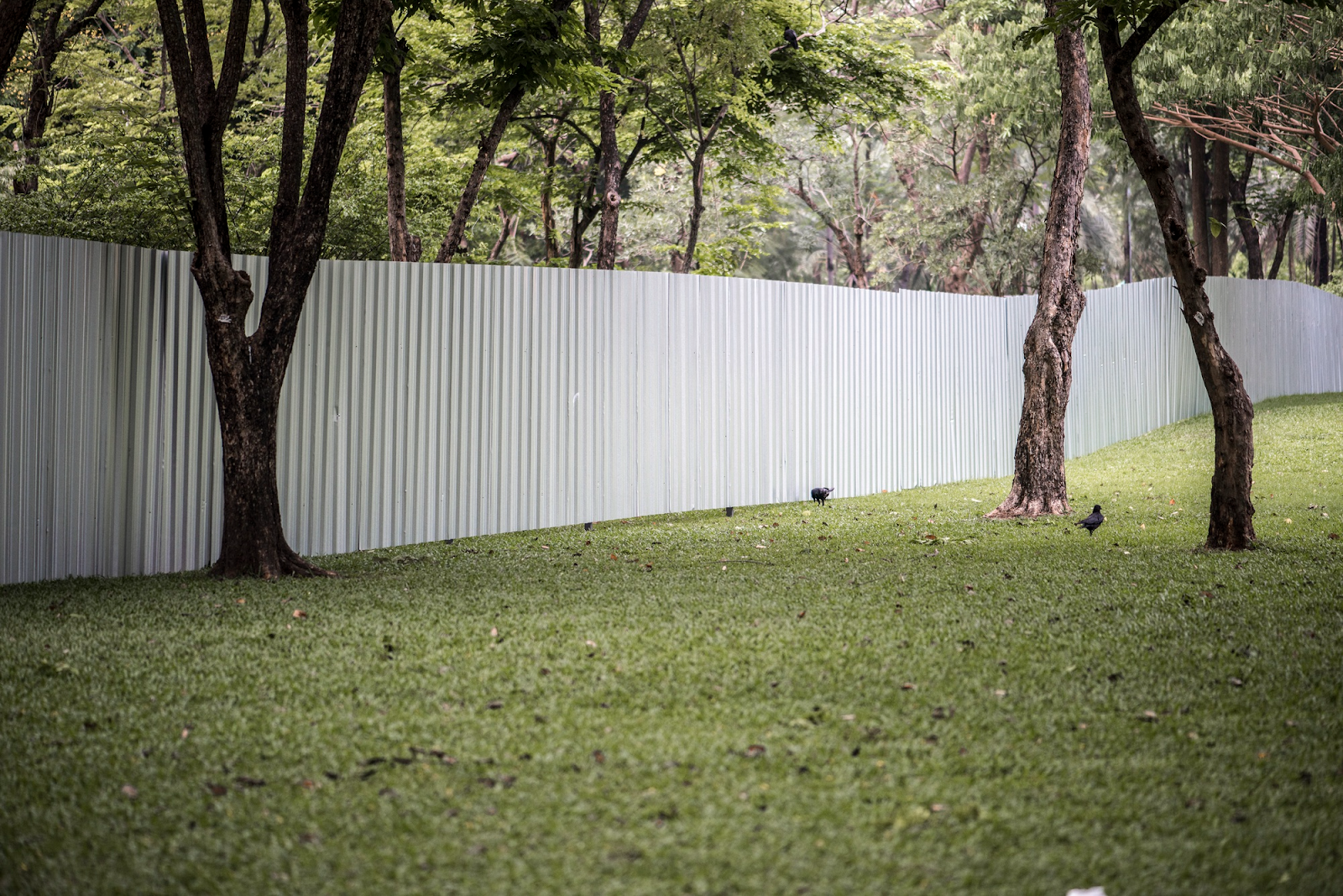 PVC Fence